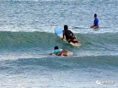 为什么大部分蓝色食物会使人食欲不振？游戏画面